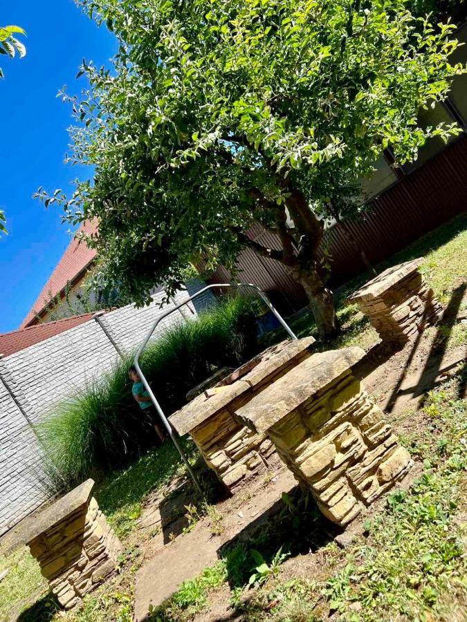 Zsuzsa Apartman Hajduszoboszlo Bagian luar foto