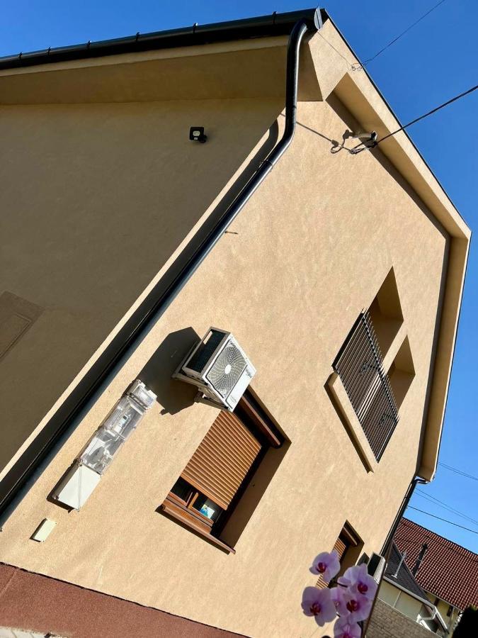 Zsuzsa Apartman Hajduszoboszlo Bagian luar foto